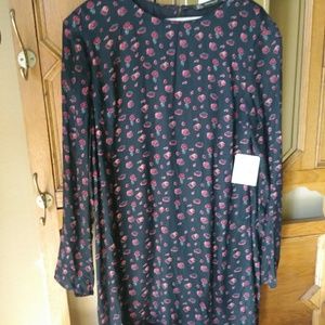 Zara Dress NWT